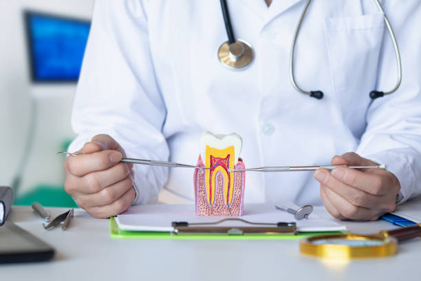 Best Urgent Care for Lost Fillings or Crowns in Steger, IL